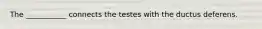 The ___________ connects the testes with the ductus deferens.