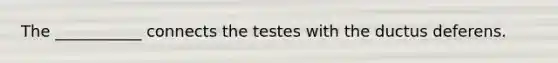 The ___________ connects the testes with the ductus deferens.