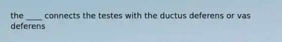 the ____ connects the testes with the ductus deferens or vas deferens