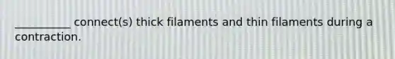 __________ connect(s) thick filaments and thin filaments during a contraction.