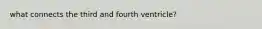 what connects the third and fourth ventricle?