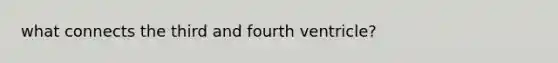 what connects the third and fourth ventricle?