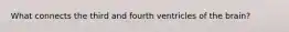 What connects the third and fourth ventricles of the brain?