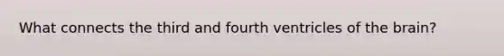 What connects the third and fourth ventricles of the brain?