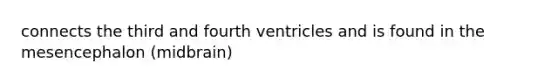 connects the third and fourth ventricles and is found in the mesencephalon (midbrain)