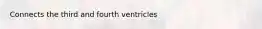 Connects the third and fourth ventricles