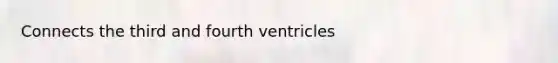 Connects the third and fourth ventricles