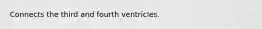 Connects the third and fourth ventricles.