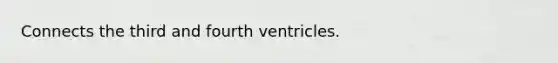 Connects the third and fourth ventricles.