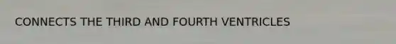 CONNECTS THE THIRD AND FOURTH VENTRICLES