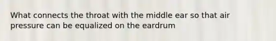 What connects the throat with the middle ear so that air pressure can be equalized on the eardrum