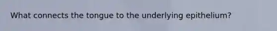 What connects the tongue to the underlying epithelium?