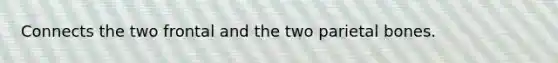 Connects the two frontal and the two parietal bones.