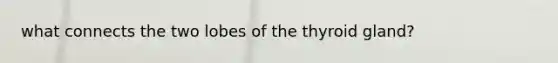 what connects the two lobes of the thyroid gland?