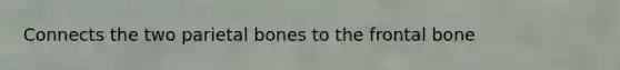 Connects the two parietal bones to the frontal bone