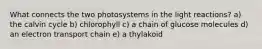 What connects the two photosystems in the light reactions? a) the calvin cycle b) chlorophyll c) a chain of glucose molecules d) an electron transport chain e) a thylakoid