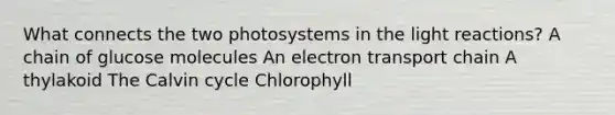 What connects the two photosystems in the light reactions? A chain of glucose molecules An electron transport chain A thylakoid The Calvin cycle Chlorophyll