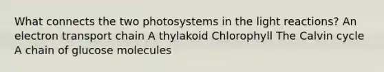 What connects the two photosystems in the light reactions? An electron transport chain A thylakoid Chlorophyll The Calvin cycle A chain of glucose molecules