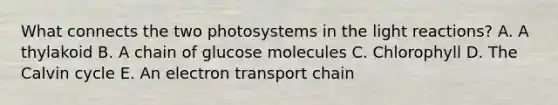 What connects the two photosystems in the light reactions? A. A thylakoid B. A chain of glucose molecules C. Chlorophyll D. The Calvin cycle E. An electron transport chain