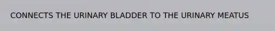 CONNECTS THE URINARY BLADDER TO THE URINARY MEATUS