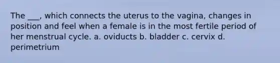 The ___, which connects the uterus to the vagina, changes in position and feel when a female is in the most fertile period of her menstrual cycle. a. oviducts b. bladder c. cervix d. perimetrium