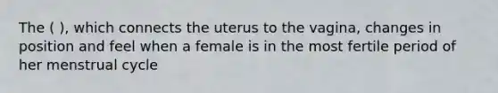 The ( ), which connects the uterus to the vagina, changes in position and feel when a female is in the most fertile period of her menstrual cycle