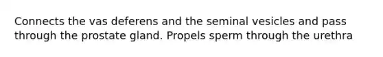Connects the vas deferens and the seminal vesicles and pass through the prostate gland. Propels sperm through the urethra