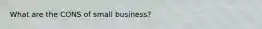 What are the CONS of small business?
