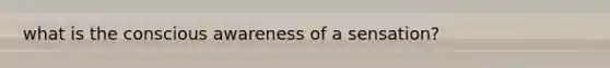 what is the conscious awareness of a sensation?