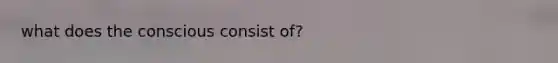 what does the conscious consist of?