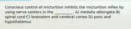 Conscious control of micturition inhibits the micturition reflex by using nerve centers in the __________. A) medulla oblongata B) spinal cord C) brainstem and cerebral cortex D) pons and hypothalamus