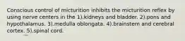 Conscious control of micturition inhibits the micturition reflex by using nerve centers in the 1).kidneys and bladder. 2).pons and hypothalamus. 3).medulla oblongata. 4).brainstem and cerebral cortex. 5).spinal cord.