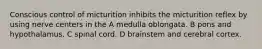 Conscious control of micturition inhibits the micturition reflex by using nerve centers in the A medulla oblongata. B pons and hypothalamus. C spinal cord. D brainstem and cerebral cortex.