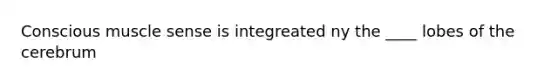 Conscious muscle sense is integreated ny the ____ lobes of the cerebrum