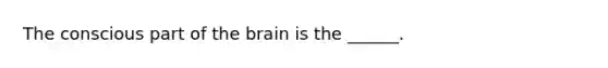 The conscious part of <a href='https://www.questionai.com/knowledge/kLMtJeqKp6-the-brain' class='anchor-knowledge'>the brain</a> is the ______.