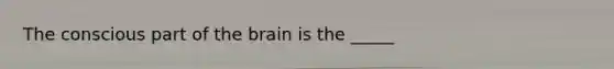 The conscious part of the brain is the _____