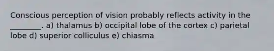 Conscious perception of vision probably reflects activity in the ________. a) thalamus b) occipital lobe of the cortex c) parietal lobe d) superior colliculus e) chiasma