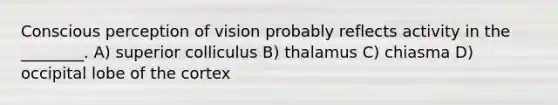 Conscious perception of vision probably reflects activity in the ________. A) superior colliculus B) thalamus C) chiasma D) occipital lobe of the cortex