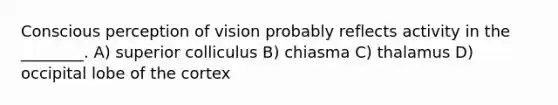 Conscious perception of vision probably reflects activity in the ________. A) superior colliculus B) chiasma C) thalamus D) occipital lobe of the cortex