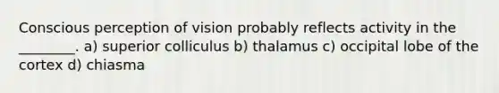 Conscious perception of vision probably reflects activity in the ________. a) superior colliculus b) thalamus c) occipital lobe of the cortex d) chiasma