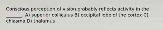 Conscious perception of vision probably reflects activity in the _______. A) superior colliculus B) occipital lobe of the cortex C) chiasma D) thalamus