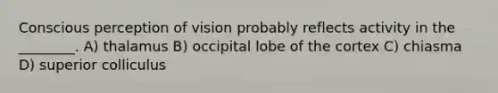 Conscious perception of vision probably reflects activity in the ________. A) thalamus B) occipital lobe of the cortex C) chiasma D) superior colliculus