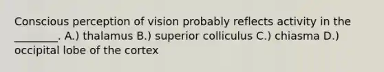 Conscious perception of vision probably reflects activity in the ________. A.) thalamus B.) superior colliculus C.) chiasma D.) occipital lobe of the cortex