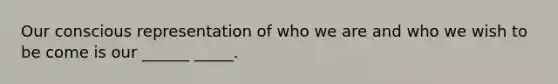 Our conscious representation of who we are and who we wish to be come is our ______ _____.