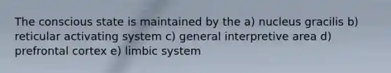 The conscious state is maintained by the a) nucleus gracilis b) reticular activating system c) general interpretive area d) prefrontal cortex e) limbic system