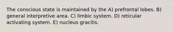 The conscious state is maintained by the A) prefrontal lobes. B) general interpretive area. C) limbic system. D) reticular activating system. E) nucleus gracilis.