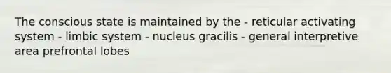 The conscious state is maintained by the - reticular activating system - limbic system - nucleus gracilis - general interpretive area prefrontal lobes