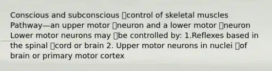 Conscious and subconscious control of skeletal muscles Pathway—an upper motor neuron and a lower motor neuron Lower motor neurons may be controlled by: 1.Reflexes based in the spinal cord or brain 2. Upper motor neurons in nuclei of brain or primary motor cortex