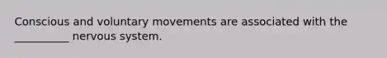 Conscious and voluntary movements are associated with the __________ nervous system.