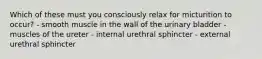 Which of these must you consciously relax for micturition to occur? - smooth muscle in the wall of the urinary bladder - muscles of the ureter - internal urethral sphincter - external urethral sphincter